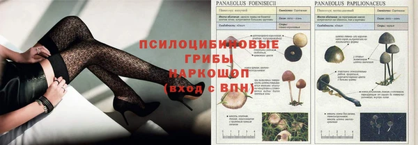 спиды Володарск