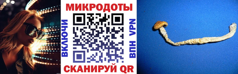 OMG ссылки  Весьегонск  Псилоцибиновые грибы Psilocybine cubensis 